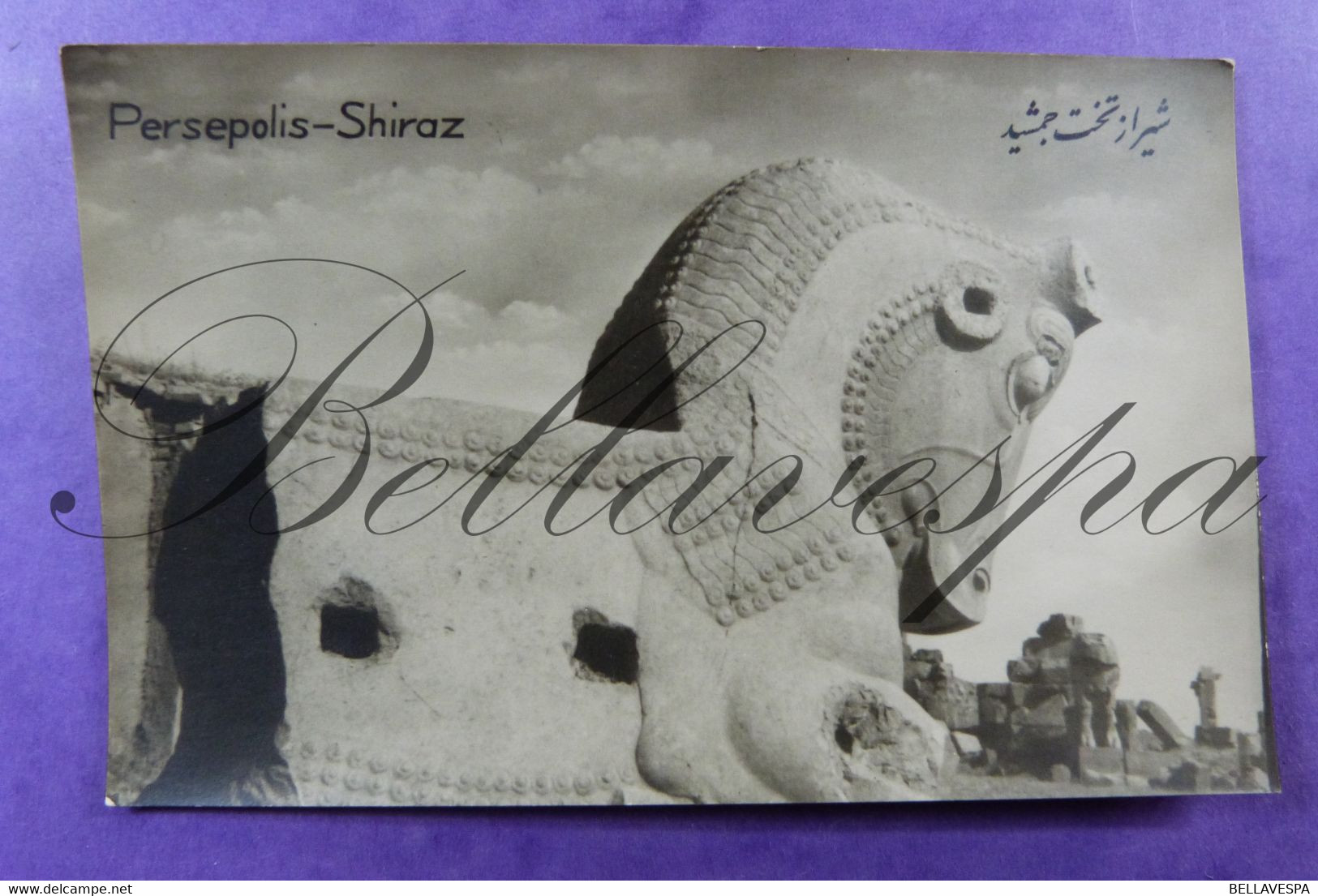 Persepolis Shiraz. Carte Photo RPPC  Agfa Tahrir Iran Co. Tehran 316 - Iran