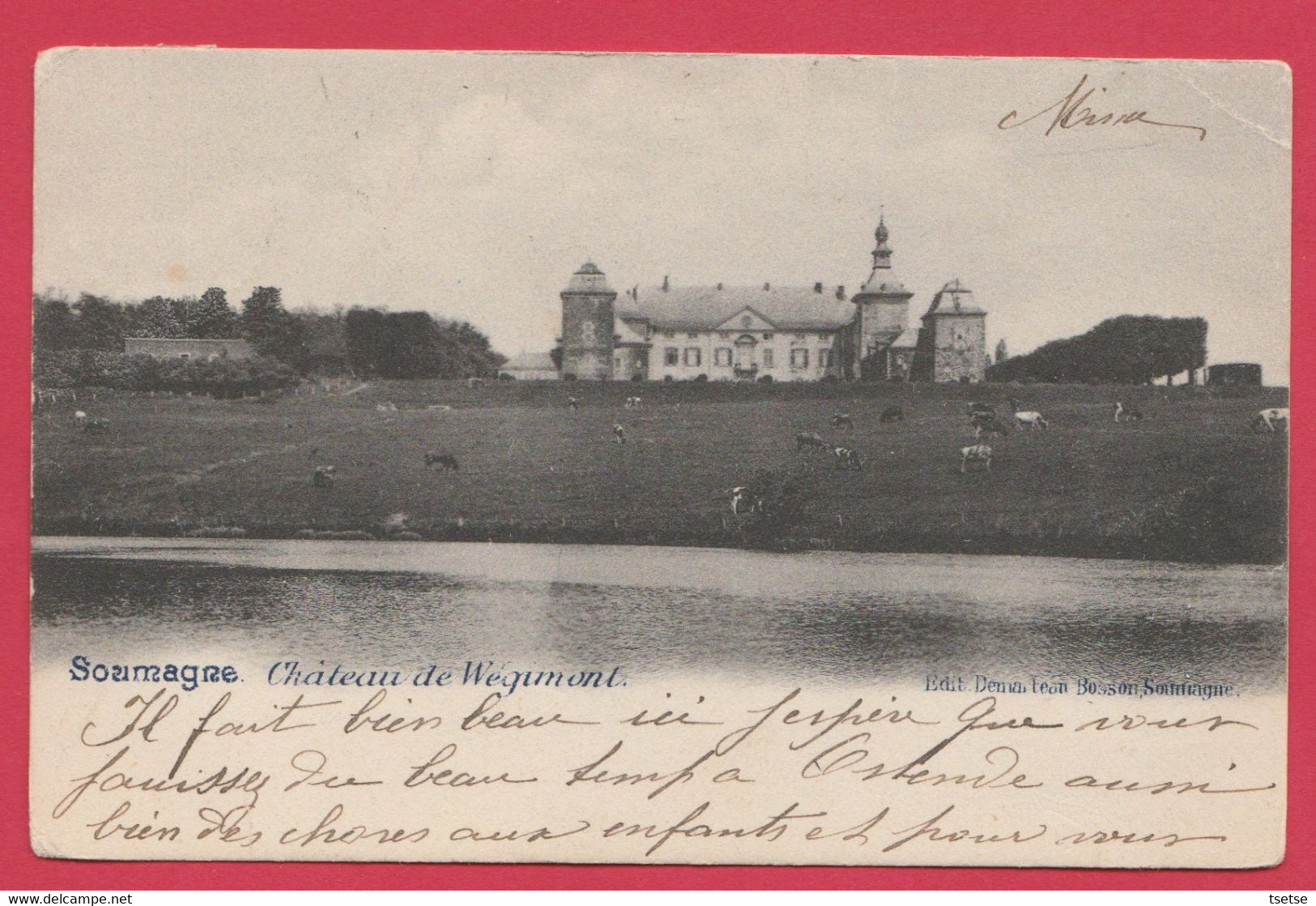 Soumagne - Le Château De Wégimont - 1906 ( Voir Verso ) - Soumagne