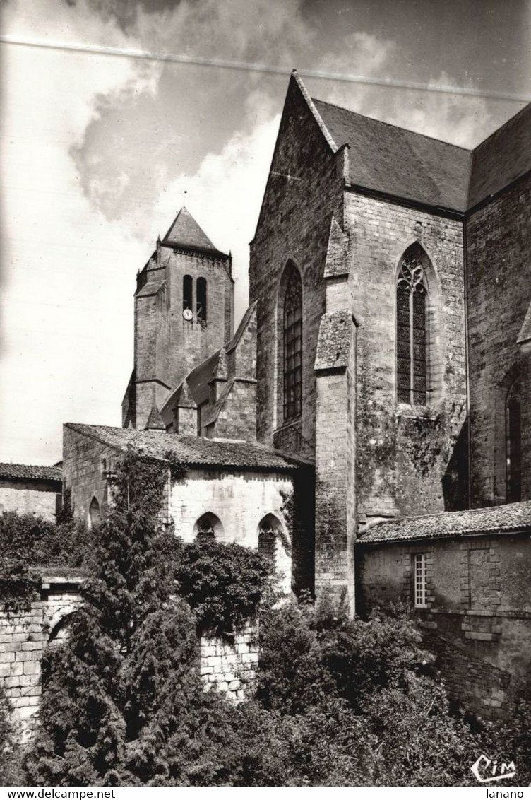 79 CELLE-sur-BELLE Eglise Abbatiale De N-D - Celles-sur-Belle