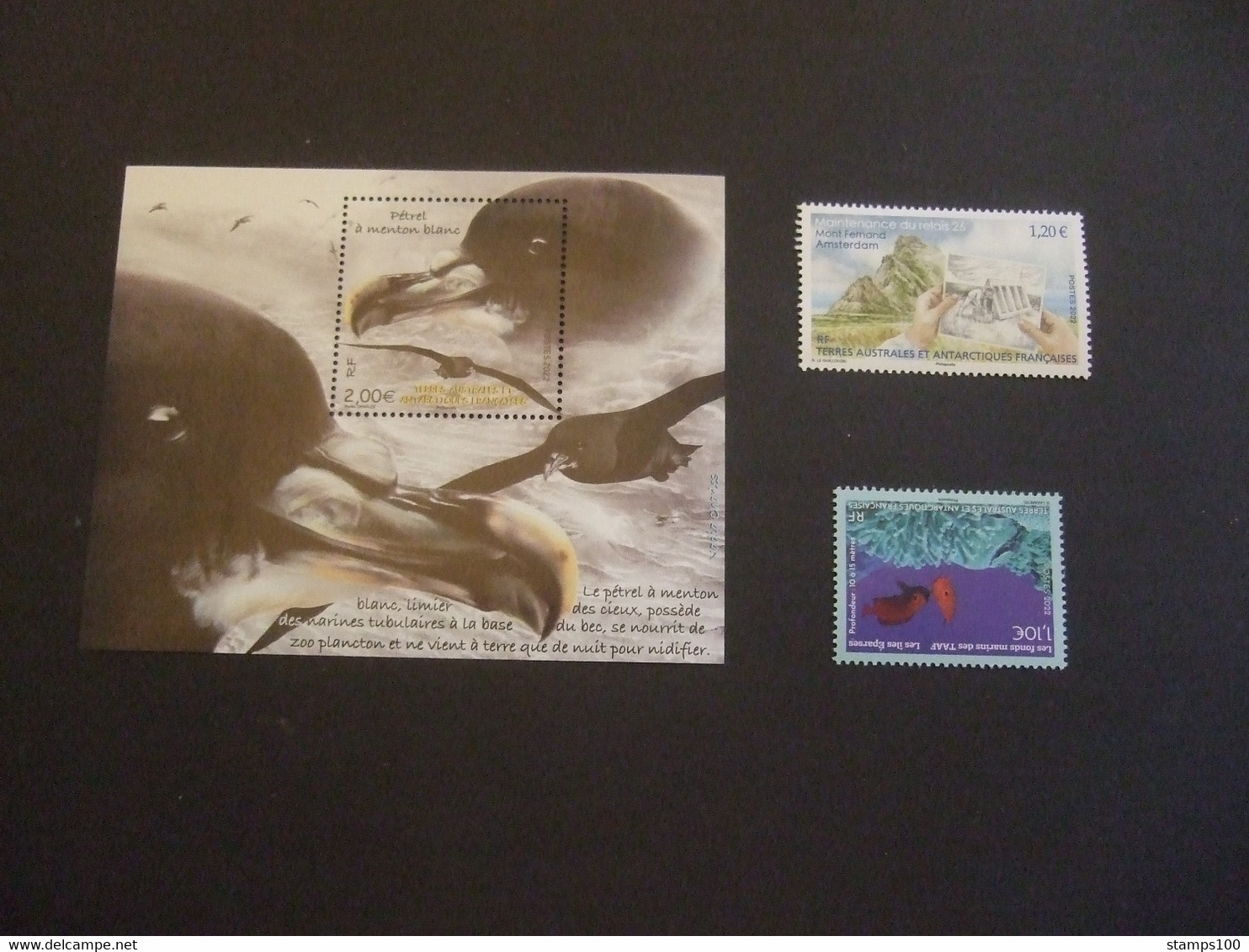 TAAF 2022. 2022 COMPLETE  See Photo'sMNH **   (IS31-IS33-2320) - Ungebraucht