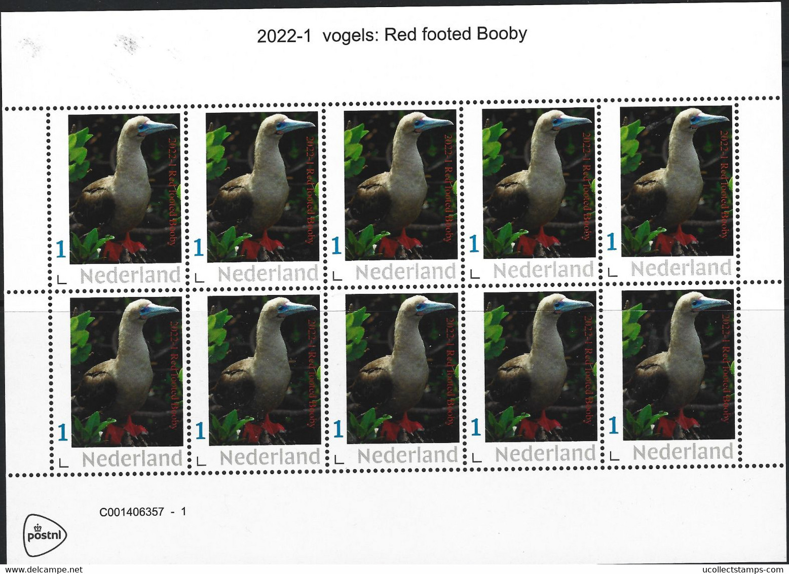 Nederland  2022-1  Vogels  Red Footed Booby    Vel-sheetlet    Postfris/mnh/neuf - Neufs
