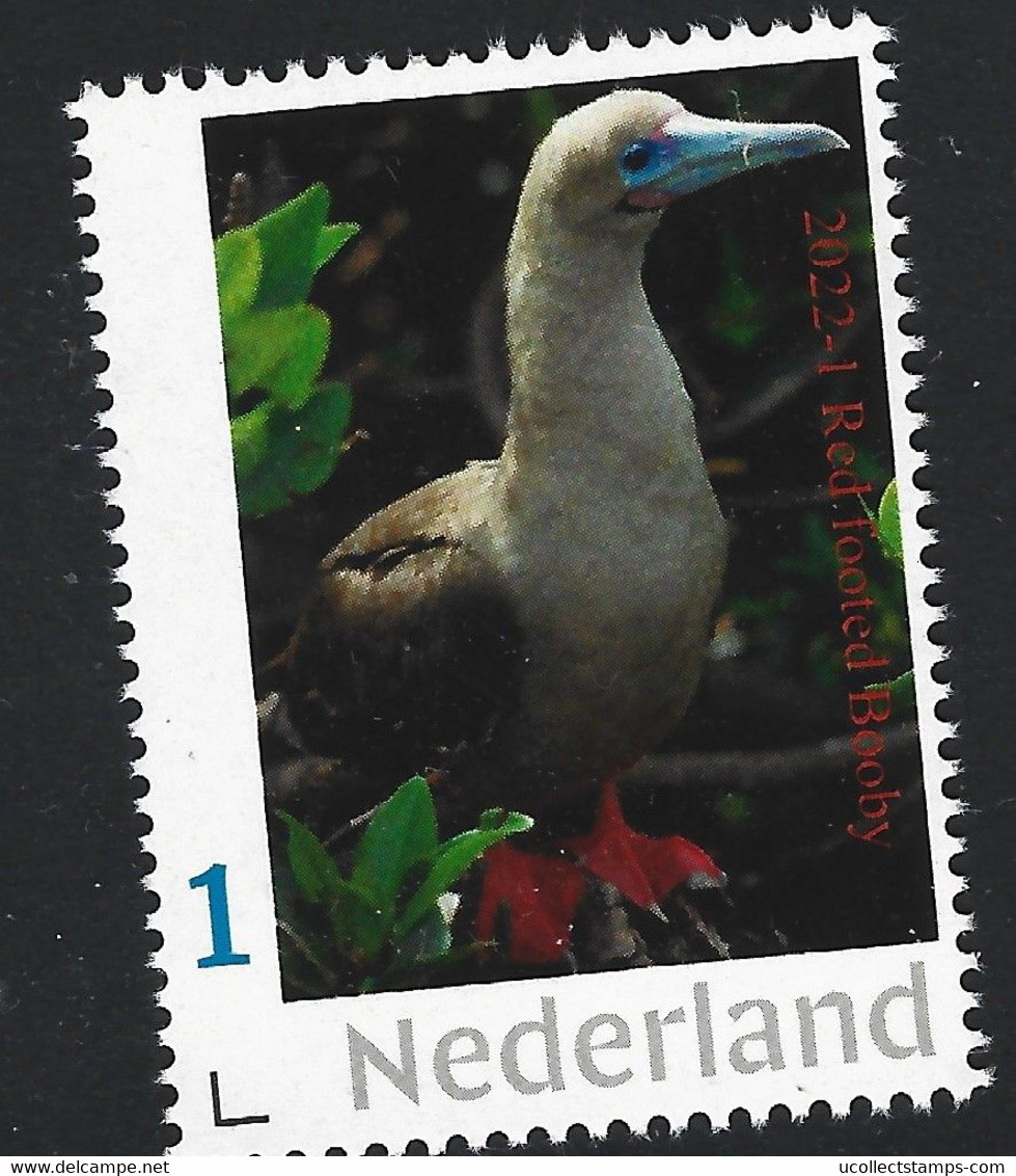 Nederland  2022-1  Vogels  Red Footed Booby       Postfris/mnh/neuf - Neufs