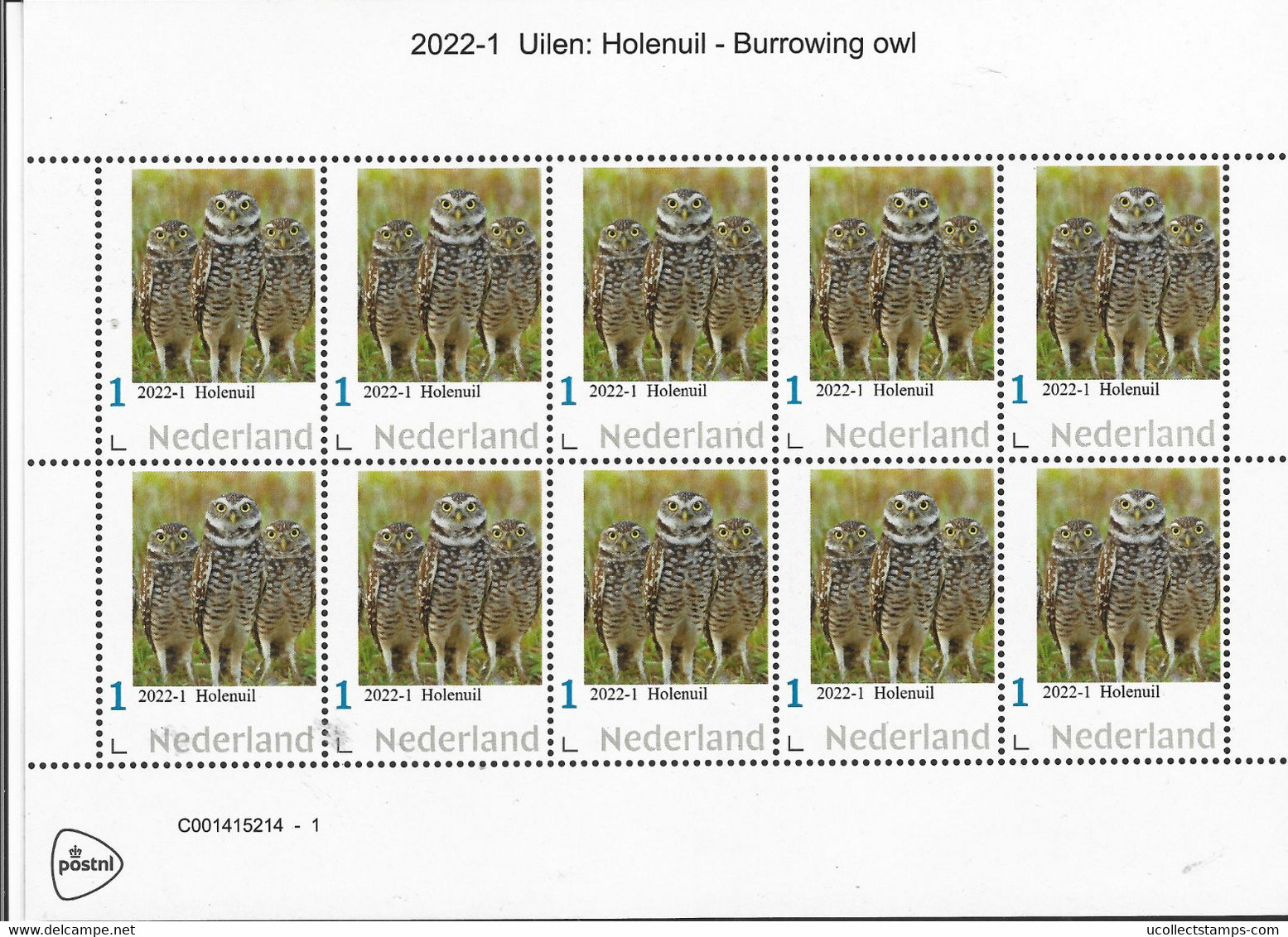 Nederland  2022-1  Uilen Owls  Holenuil  Burrowing Owl  Vel-sheetlet   Postfris/mnh/neuf - Ungebraucht