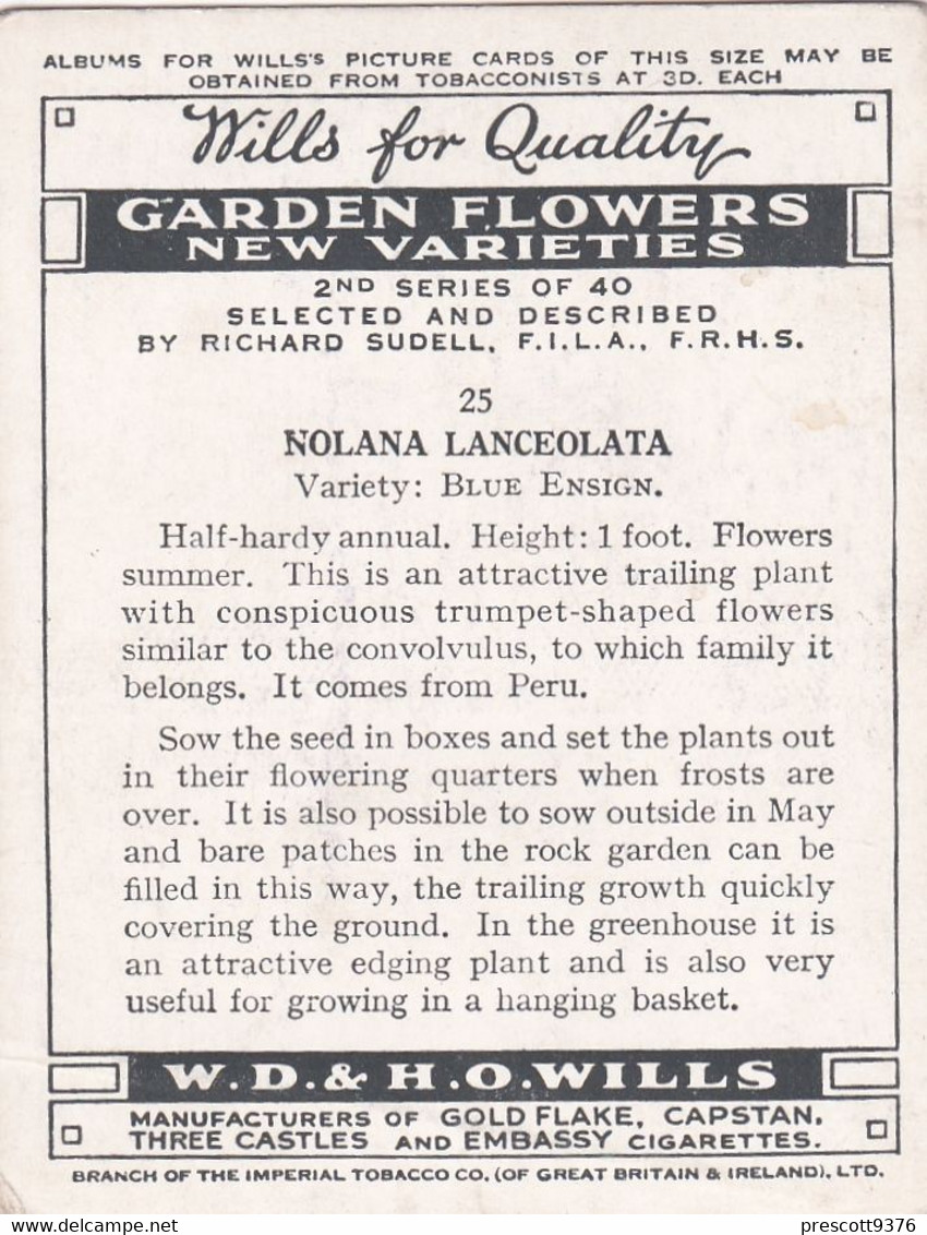 25 Nolana Blue Ensign  - Garden Flowers New Varieties 2nd 1938 - Original Wills Cigarette Card - L Size 6x8 Cm - Wills
