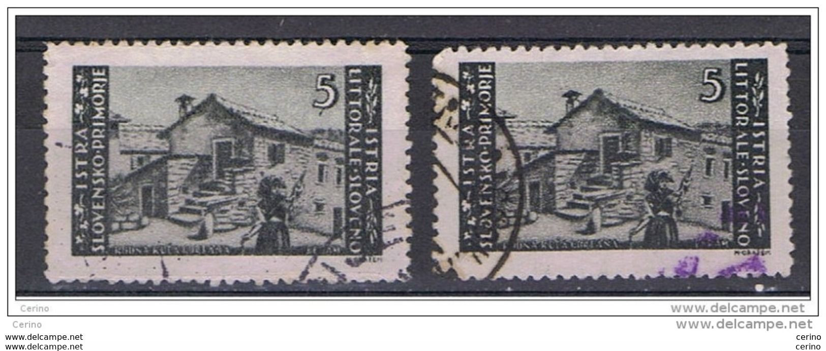 ISTRIA:  1946  OCCUPAZIONE  JUGOSLAVA - ZAGABRIA  -  £. 5 GRIGIO  CHIARO  US. -  RIPETUTO  2  VOLTE  -  SASS. 57 - Jugoslawische Bes.: Istrien