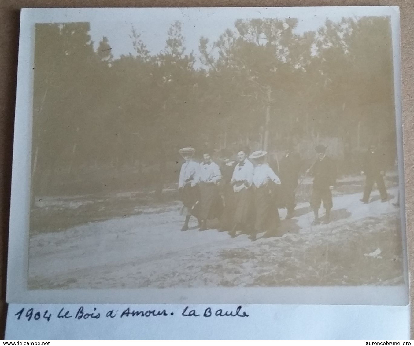 44  LA  BAULE   1904    FAMILLE  LAUNAY AU BOIS  D  AMOUR - Places