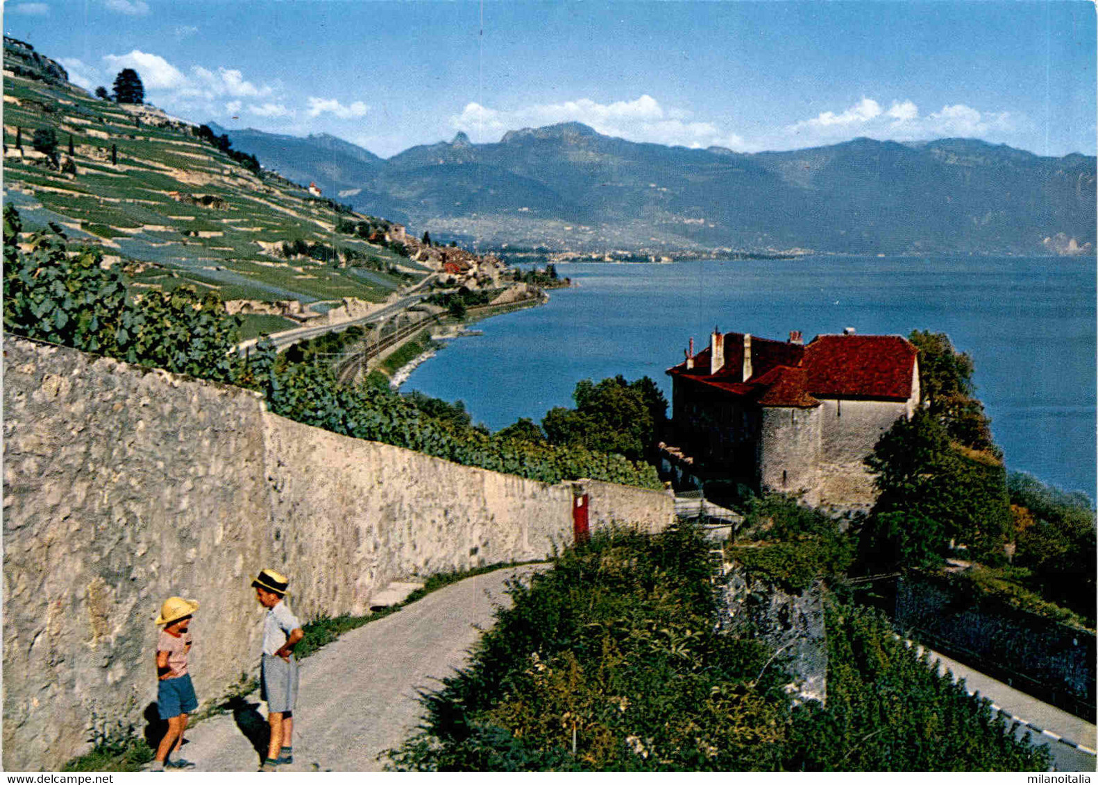 Le Lavaux - Le Chateau De Glerolles Pres Rivaz (5476) - Rivaz