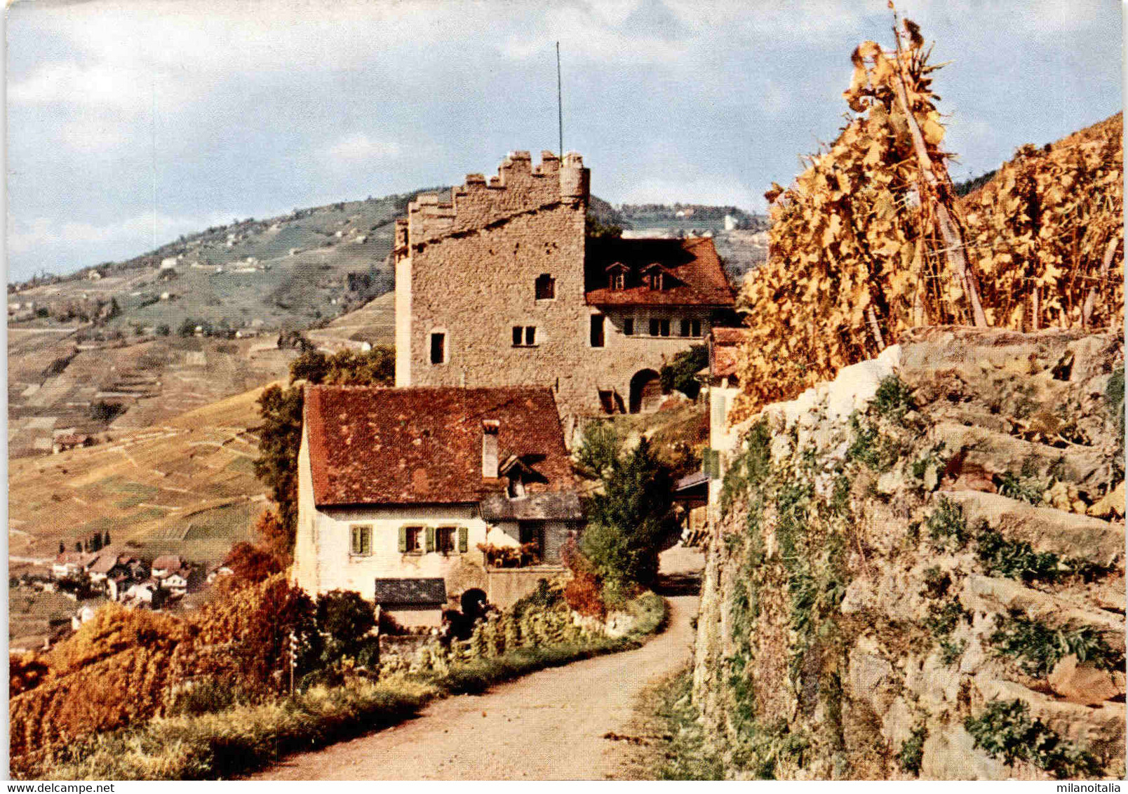 Am Genfer See, Tour De Marsens Mit Blick Auf Epesses (7085) - Épesses