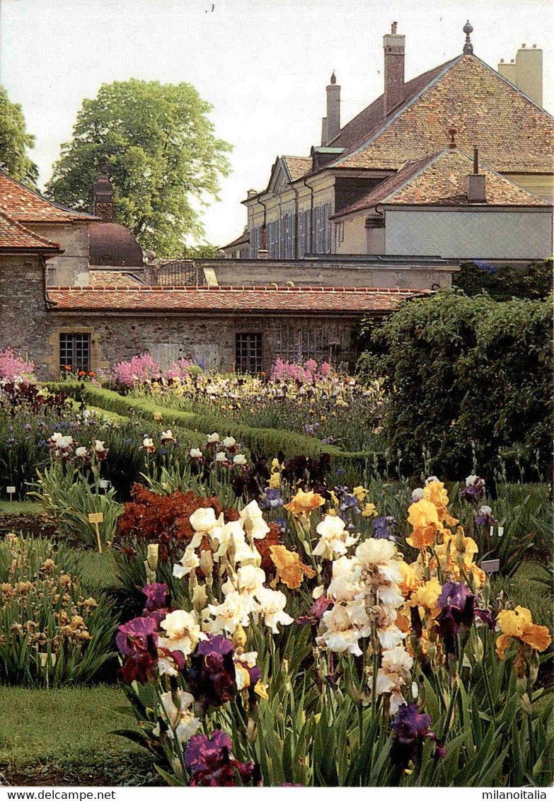 Jardin D'Iris - Chateau De Vullierens - Vullierens