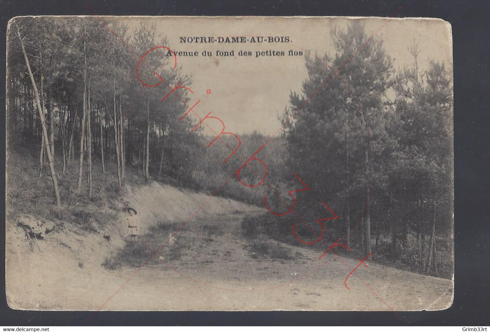 Notre-Dame-au-Bois - Avenue Du Fond Des Petites Flos - Postkaart - Overijse