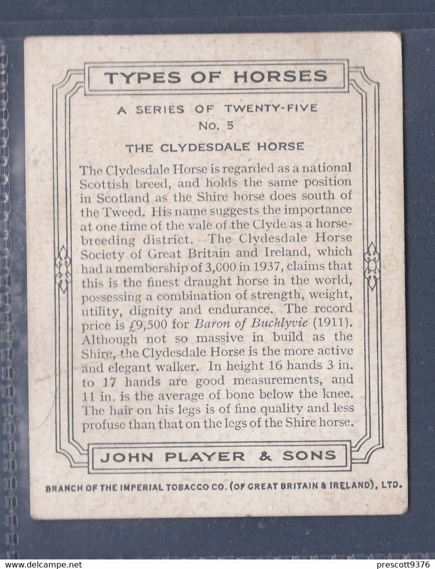 Types Of Horses 1939 - 5 Clydesdale  - Original Players Cigarette Card - L Size 6x8cm - Phillips / BDV