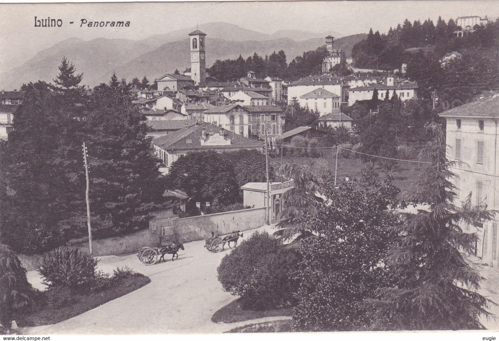 355/ Luino, Panorama, Paard Met Wagen - Luino