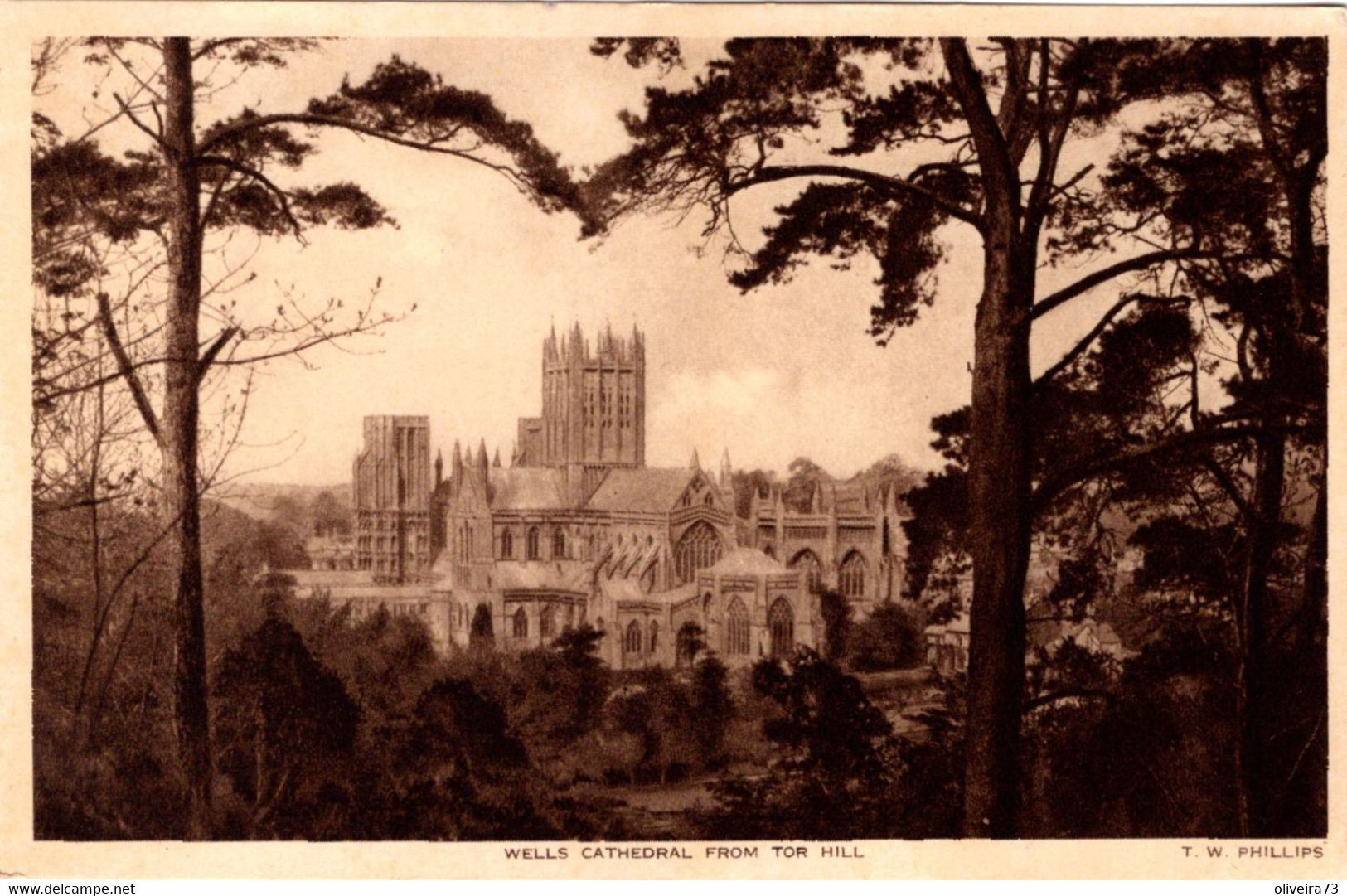 WELLS - Cathedral From Tor Hill - Wells