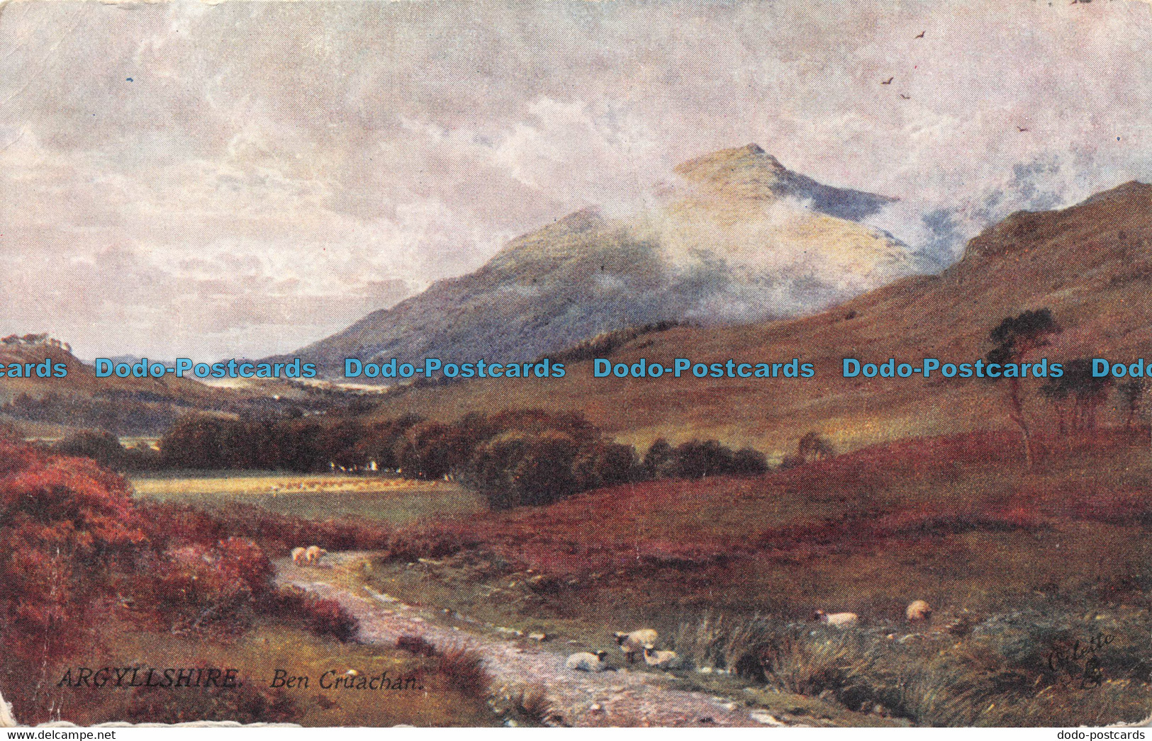 R141842 Argyllshire. Ben Cruachan. Bonnie Scotland Argyllshire. Oilette. Tuck. No. 7345. 1905 - World