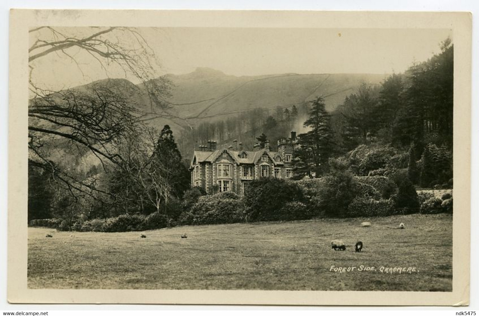 LAKE DISTRICT : GRASMERE, FOREST SIDE (ABRAHAM'S SERIES) / ADDRESS - BAKEWELL, CHURCH LANE (PAGE) - Grasmere