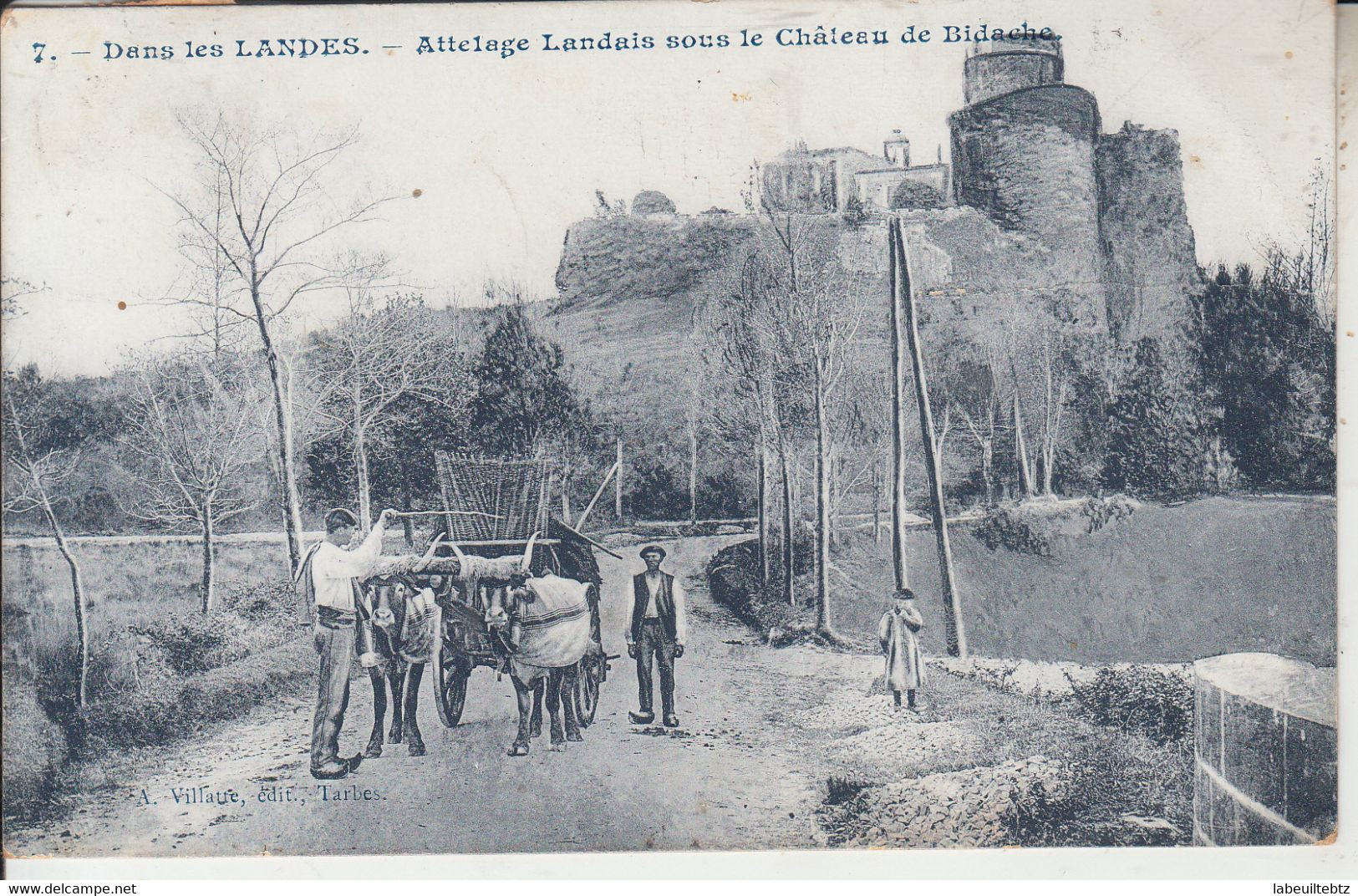 Dans Les LANDES - Attelage Landais Sous Le Château De BIDACHE  PRIX FIXE - Bidache