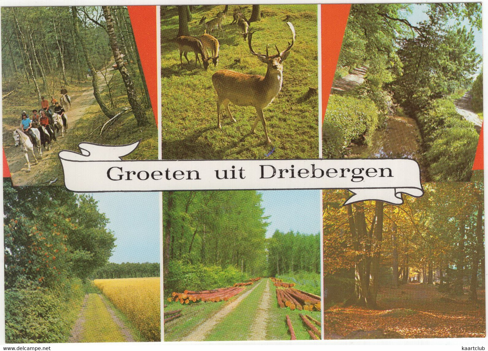 Groeten Uit Driebergen - (Utrecht, Nederland) - Nr. L 864A - Natuur, Dieren - Driebergen – Rijsenburg