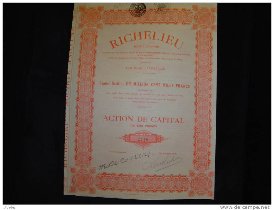 Action De Capital " Richelieu " Bruxelles 1927 ( Restaurants , Hotels ) Très Bon état,avec Tous Les Coupons) - Toerisme