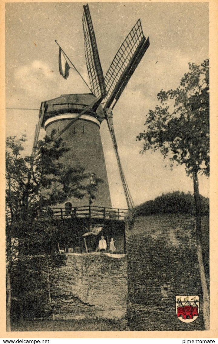 RHENEN PANORAMA MOLEN THEESCHENKERIJ GEBOUWD OP DE STADSWALLEN ANNO 1346 PLANTSOEN - Rhenen