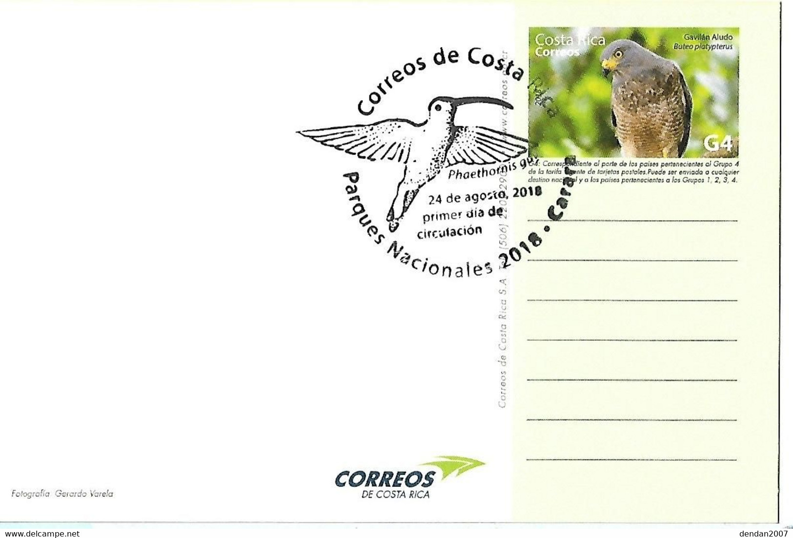 Costa Rica - Postal Stationery 2018 :  Broad-winged Hawk -  Buteo Platypterus - Eagles & Birds Of Prey