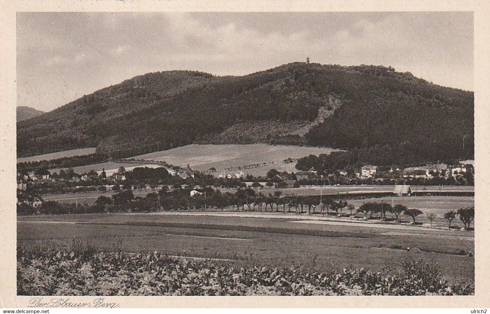 AK Löbauer Berg - Turmwirtschaft Martin Proft - 1933 (59055) - Loebau