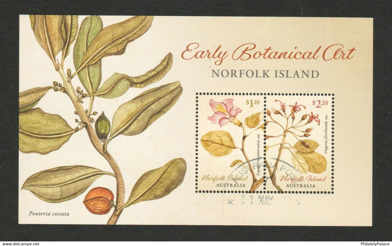 AUSTRALIA NORFOLK ISLAND 2020 EARLY BOTANICAL PLANT FLOWER ART SOUVENIR SHEET 2 STAMPS USED (**) - Gebruikt