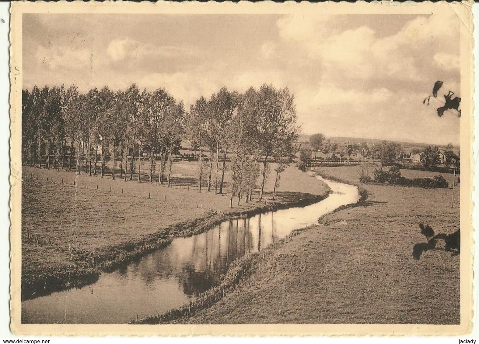 Tintigny -- La Semois Vue De L'Hôtel.   (2 Scans) - Tintigny