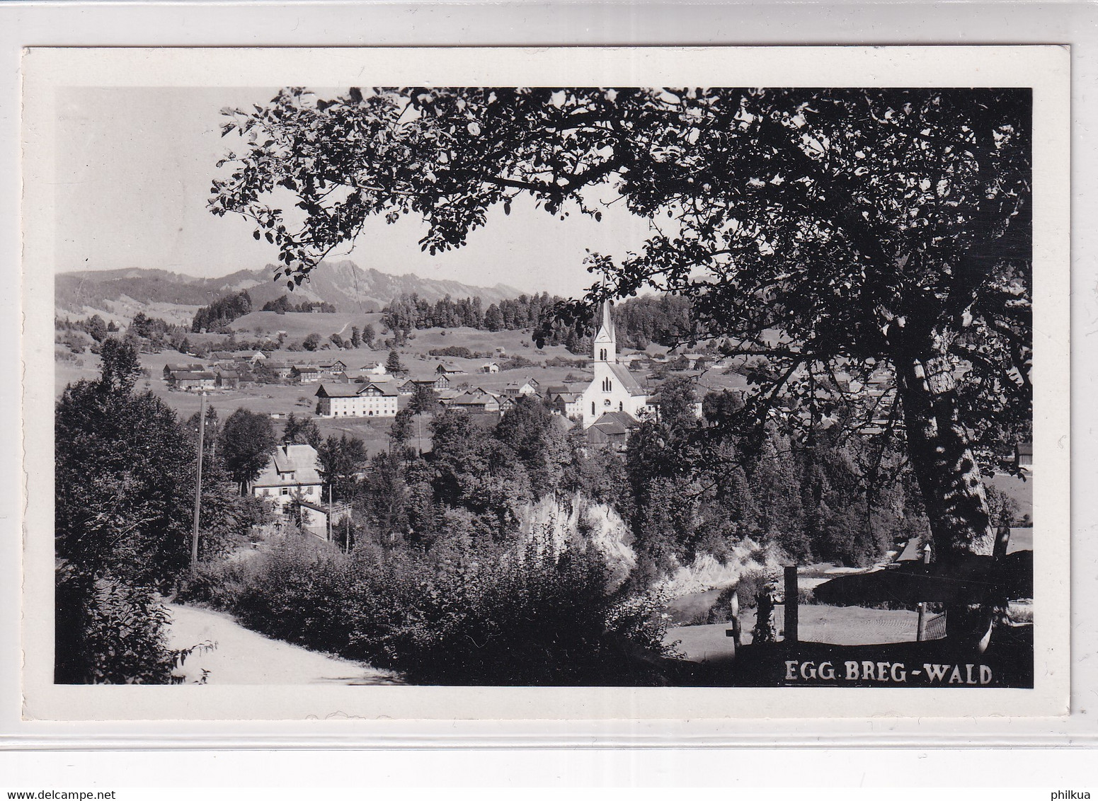 Egg Berg-Wald - Foto Hreysa, Egg 552, Vorarlberg - Bregenzerwaldorte