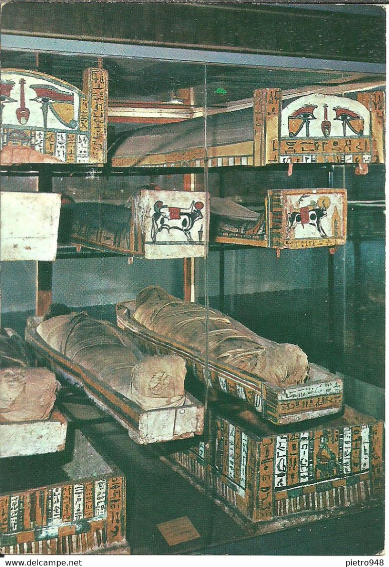 Torino (Piemonte) Museo Egizio, Sarcofagi In Legno E Mummie - Musées