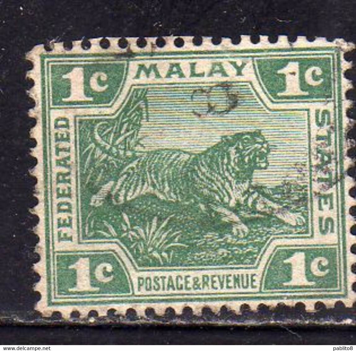 MALAY MALAYA MALAISIE MALESIA FEDERATED STATES 1906 1922 WILD FAUNA TIGER TIGRE CENT. 1c USATO USED OBLITERE' - Federation Of Malaya