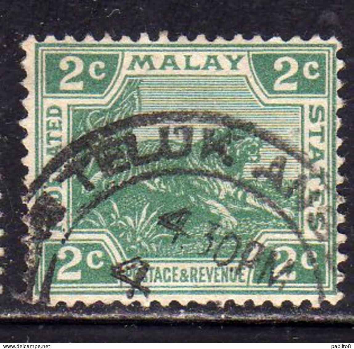 MALAY MALAYA MALAISIE MALESIA FEDERATED STATES 1906 1922 WILD FAUNA TIGER TIGRE CENT. 2c USATO USED OBLITERE' - Fédération De Malaya