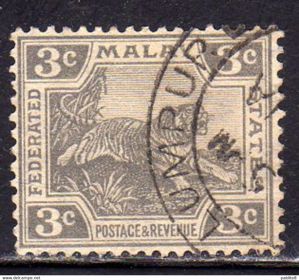 MALAYA MALAISIE MALESIA FEDERATED STATES 1922 1932 WILD FAUNA TIGER TIGRE CENT. 3c USATO USED OBLITERE' - Federation Of Malaya