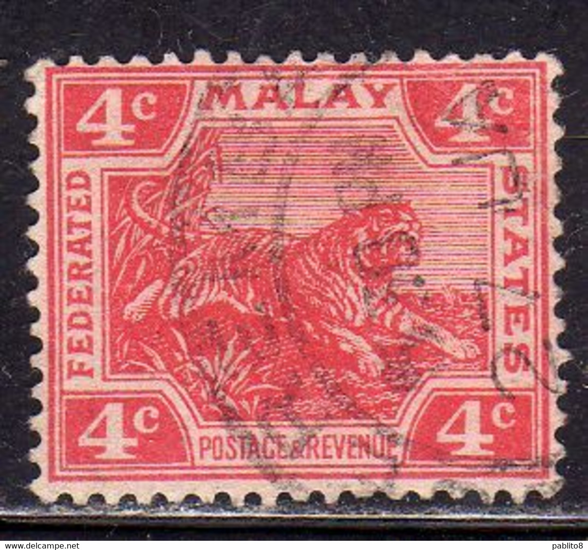 MALAYA MALAISIE MALESIA FEDERATED STATES 1906 1922 WILD FAUNA TIGER TIGRE CENT. 4c USATO USED OBLITERE' - Fédération De Malaya