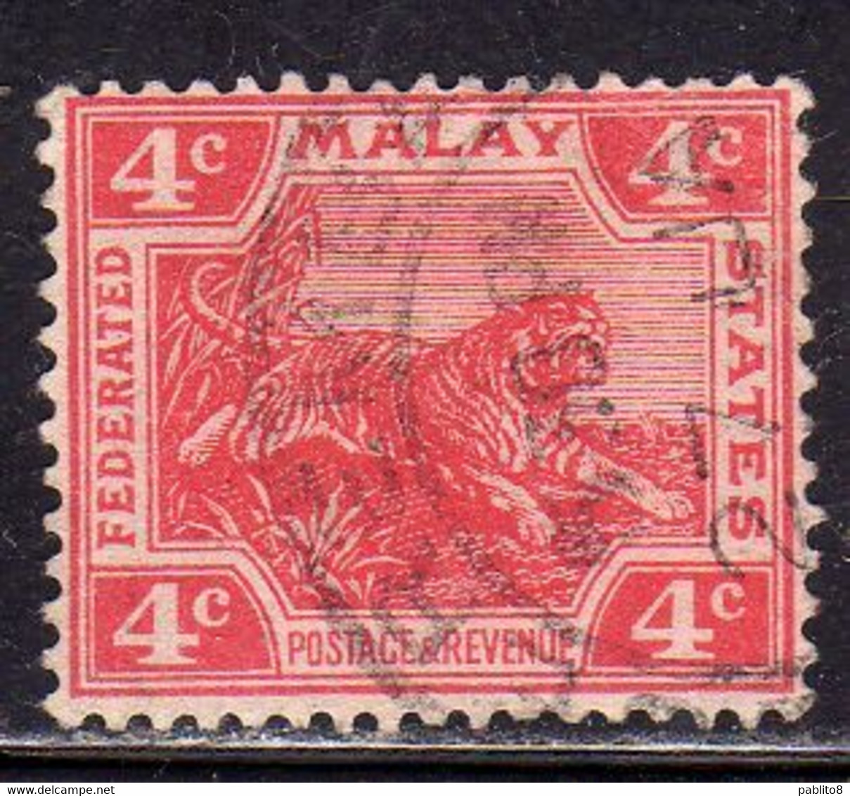 MALAYA MALAISIE MALESIA FEDERATED STATES 1906 1922 WILD FAUNA TIGER TIGRE CENT. 4c USATO USED OBLITERE' - Federation Of Malaya