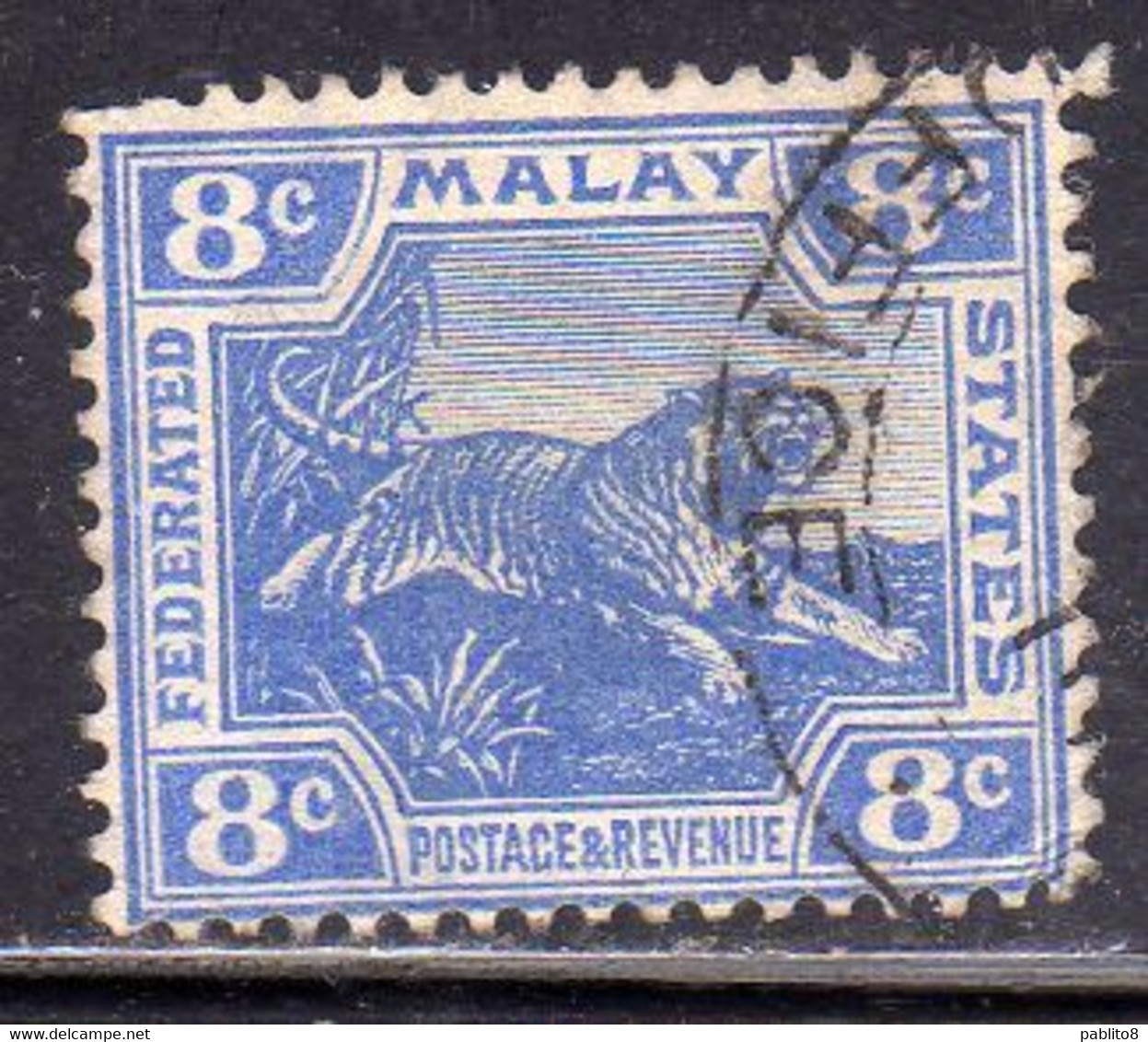 MALAYA MALAISIE MALESIA FEDERATED STATES 1901 1910 WILD FAUNA TIGER TIGRE CENT. 8c USATO USED OBLITERE' - Federation Of Malaya