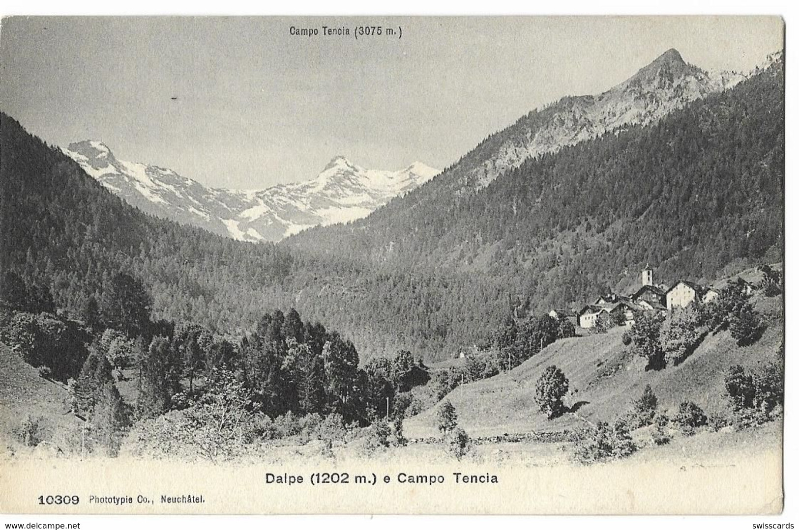 DALPE E Campo Tencia ~1910 - Campo