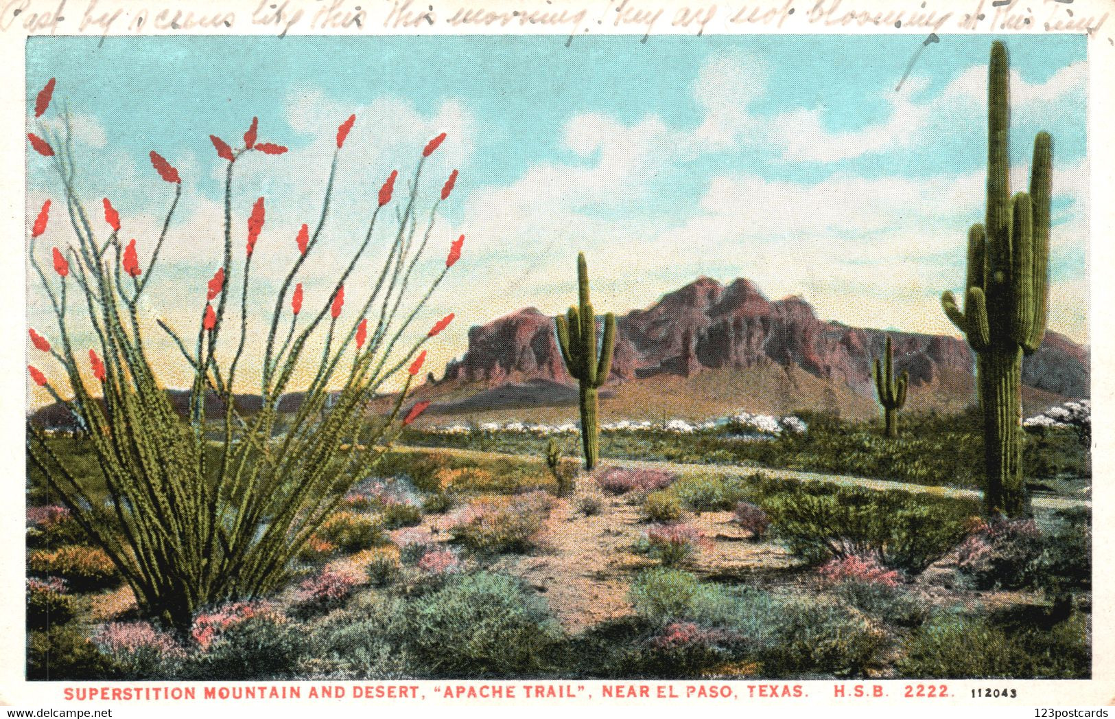 Superstition Mountain And Desert, "Apache Trail", Near El Paso, Texas - El Paso