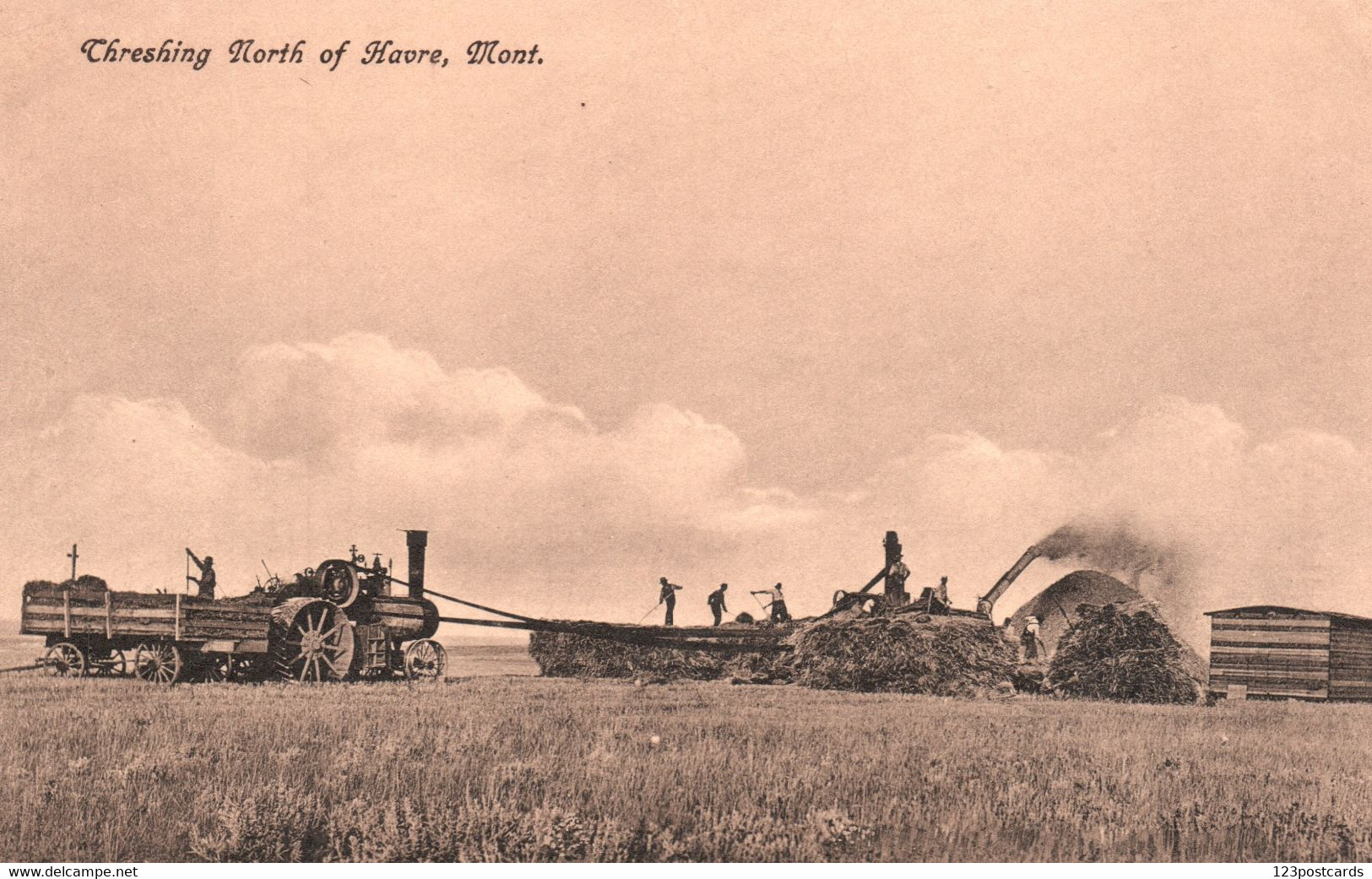 Threshing North Of Havre, Montana - VERY RARE! - Havre