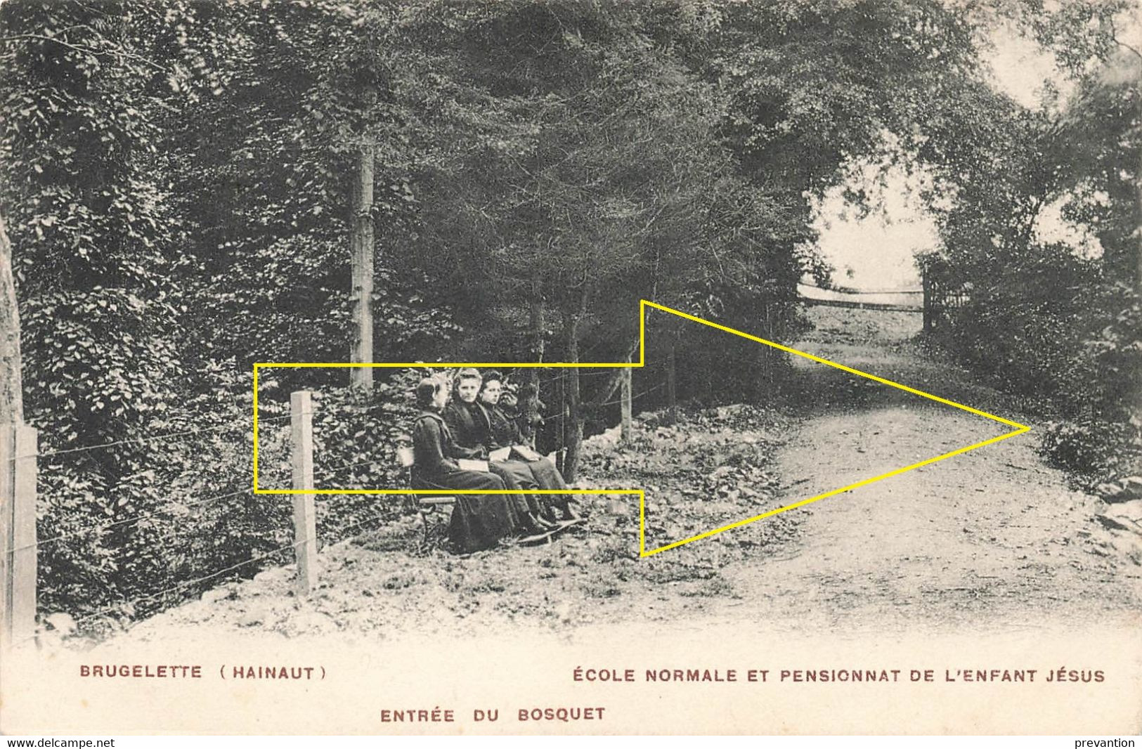 BRUGELETTE (Hainaut) - Ecole Normale Et Pensionnat De L'Enfant Jésus - Entrée Du Bosquet - Carte Circulé En 1905 - Brugelette