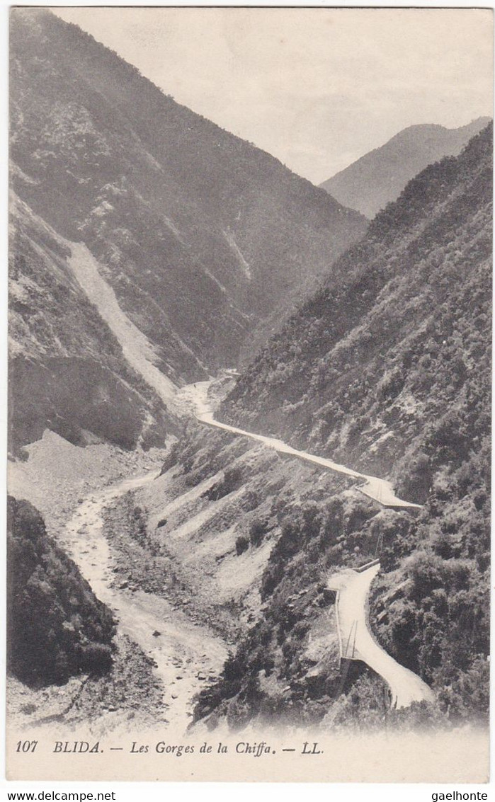 AL107 BLIDA - VUE GENERALE SUR LES GORGES DE LA CHIFFA - LA ROUTE D'ACCES - DOS VERT - Blida