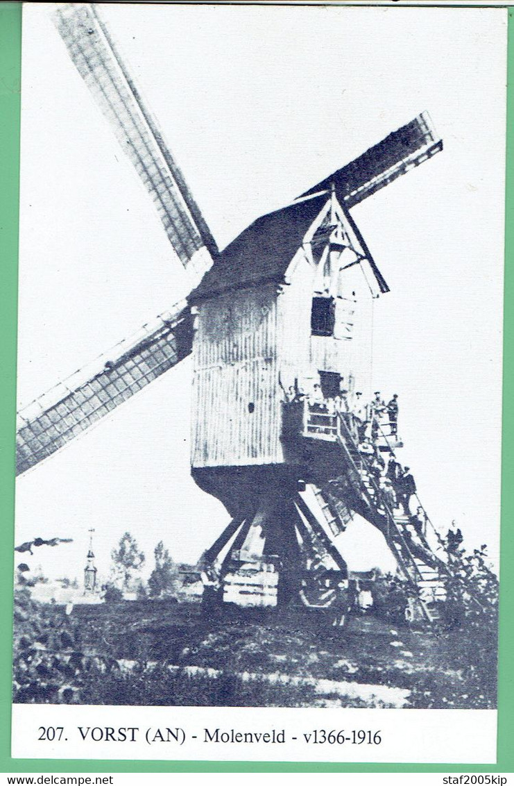 VORST (AN) - Molenveld - De Molen - Laakdal