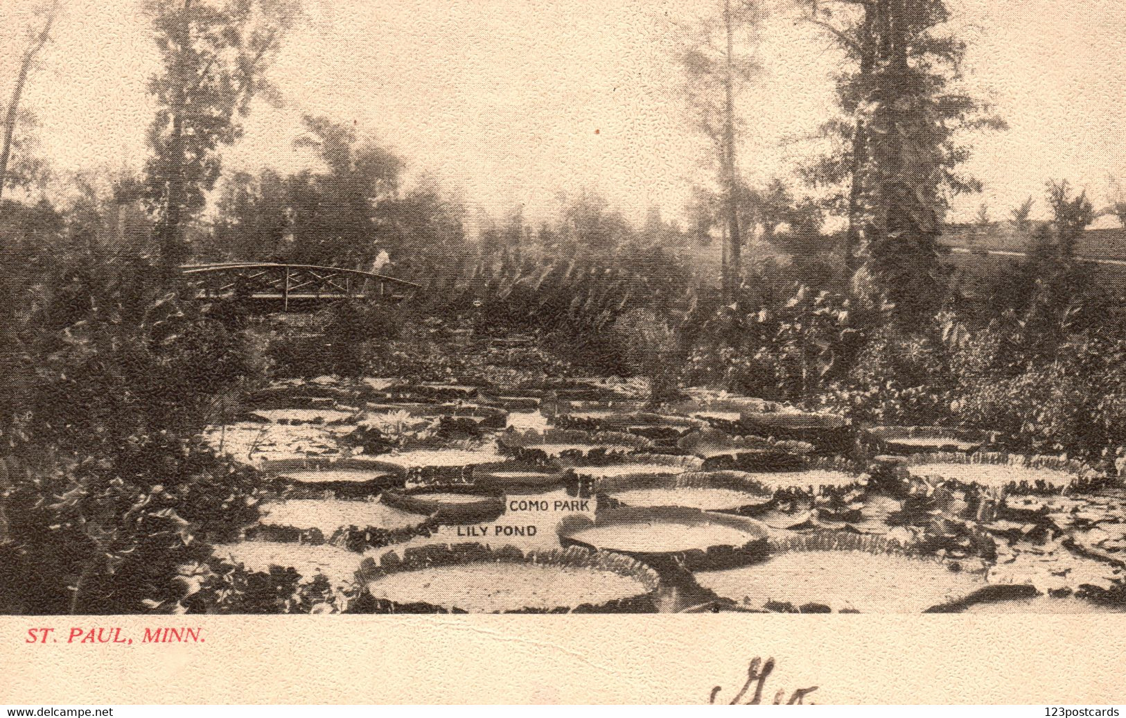 Lily Pond, Como Park - St. Paul, Minnesota - RARE In This Edition! - St Paul