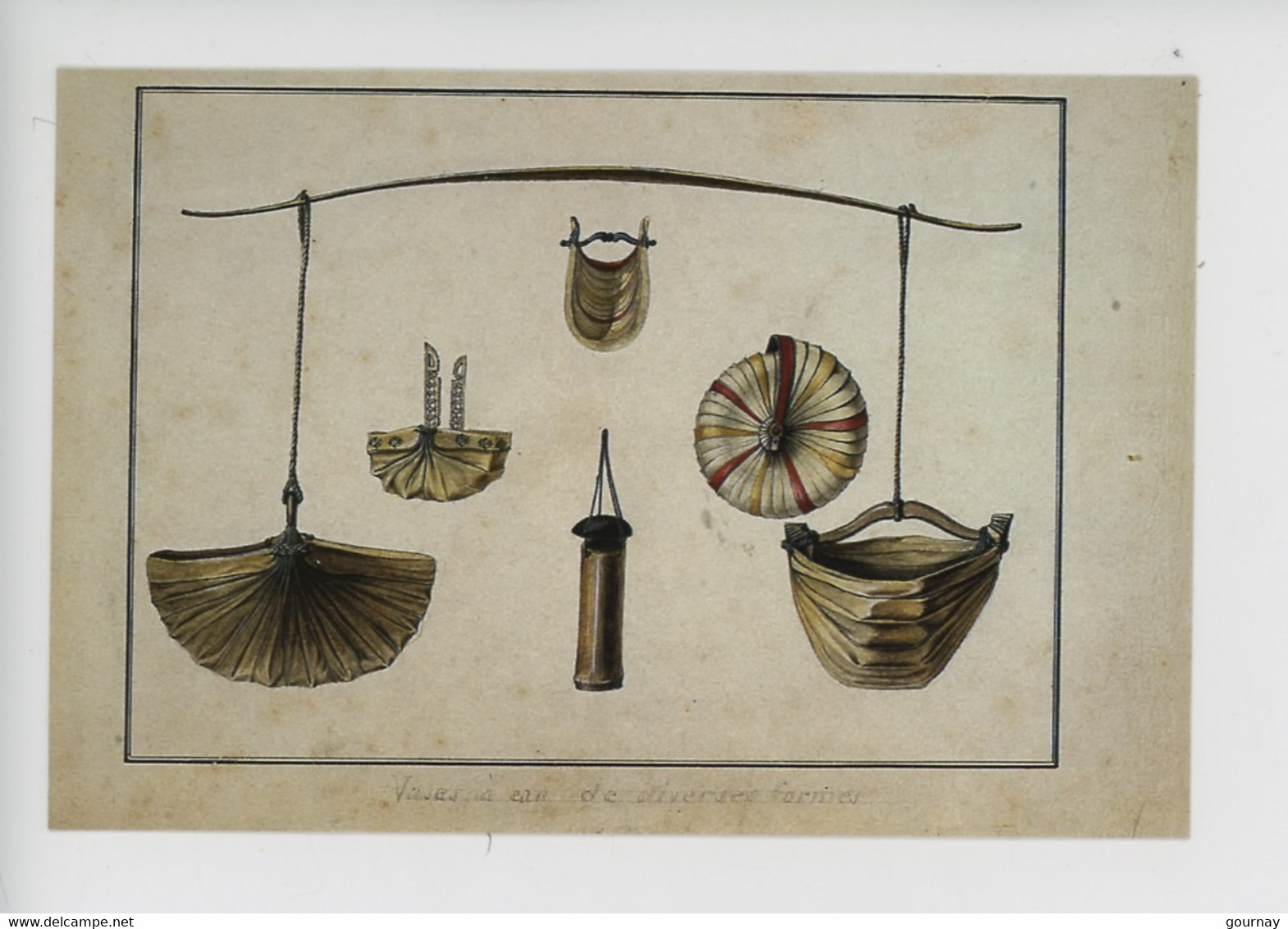 Charles Alexandre Lesueur 1778-1846 : Timor Indonésie, Vases à Eau De Diverses Formes 1800/1804 (coquillage Gonkgo) - Lesueur