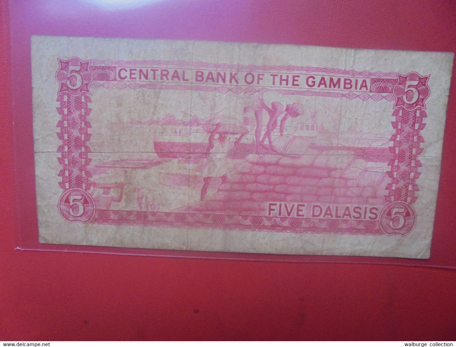 GAMBIE 5 DALASIS 1972-86 Circuler - Gambia