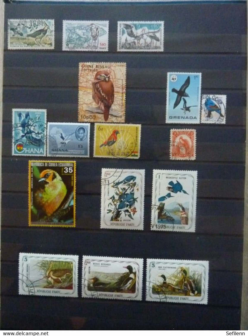 Various countries a.o Austria(till 2009),Topics,birds,thematics in 3 stokbooks+album pages