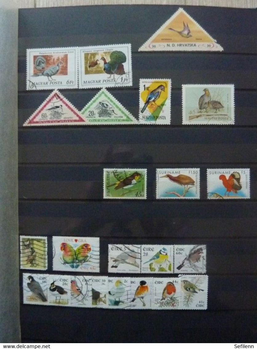 Various countries a.o Austria(till 2009),Topics,birds,thematics in 3 stokbooks+album pages