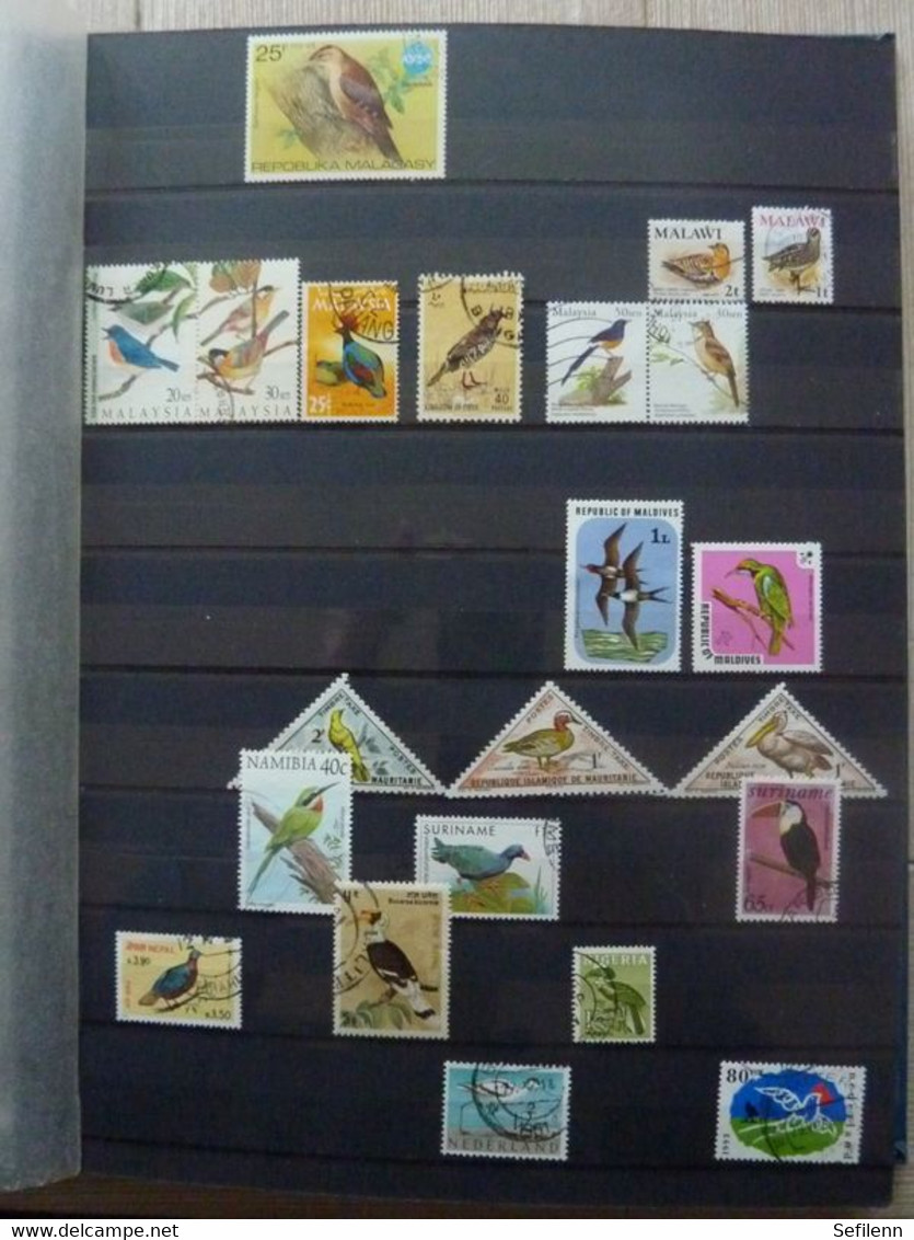 Various countries a.o Austria(till 2009),Topics,birds,thematics in 3 stokbooks+album pages