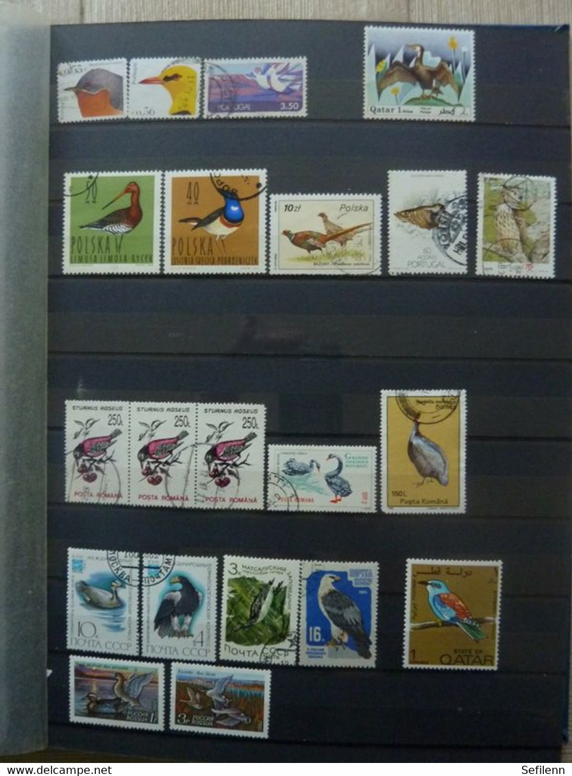 Various countries a.o Austria(till 2009),Topics,birds,thematics in 3 stokbooks+album pages