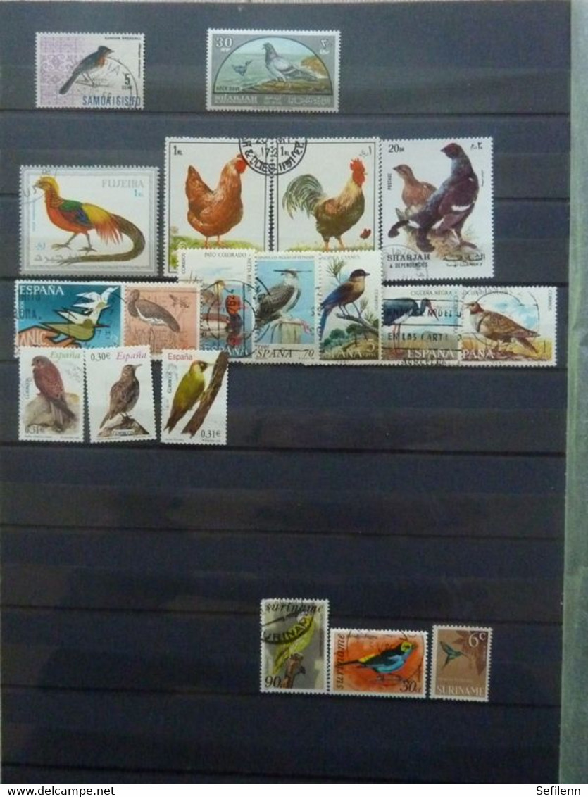 Various countries a.o Austria(till 2009),Topics,birds,thematics in 3 stokbooks+album pages