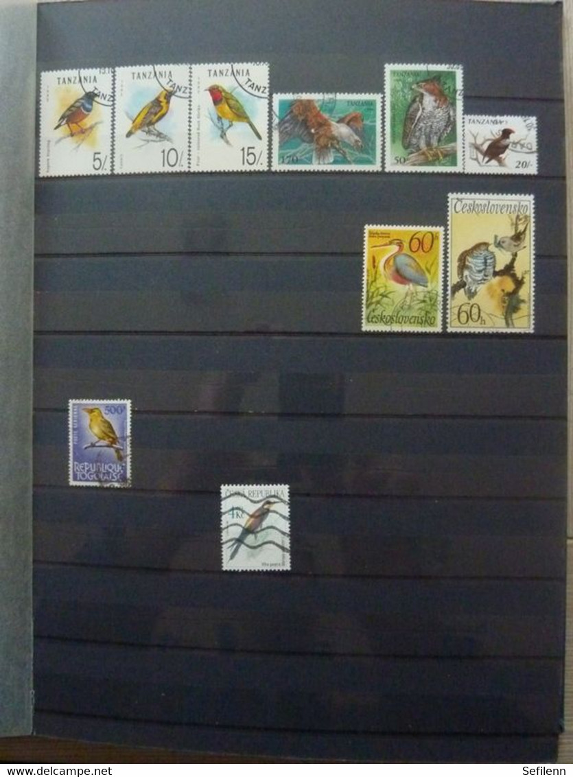 Various countries a.o Austria(till 2009),Topics,birds,thematics in 3 stokbooks+album pages